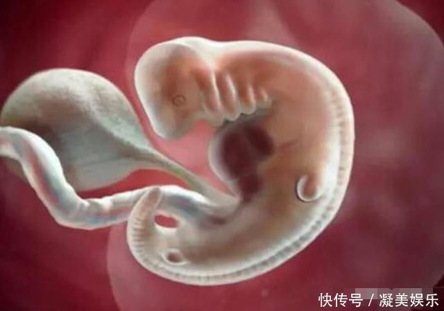 孕妇|十月怀胎，哪几周是胎儿畸形的高发期看完后明白了