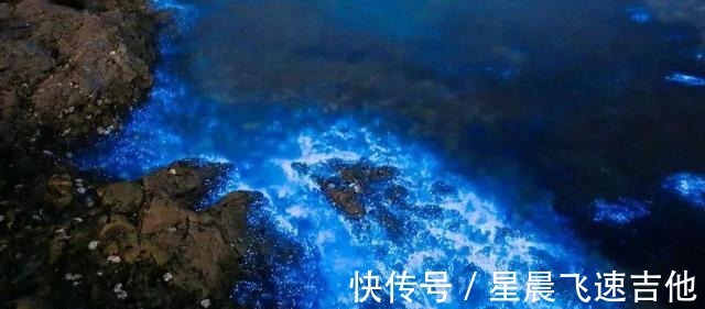 海岛|光海岛就有1000+个！央视都来直播的小城，7月能偶遇梦幻的荧光海！