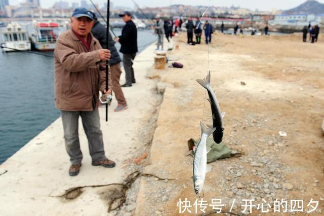 渔具|株洲集中销毁违规渔具，用挖机碾压，有人看到了自己的鱼竿