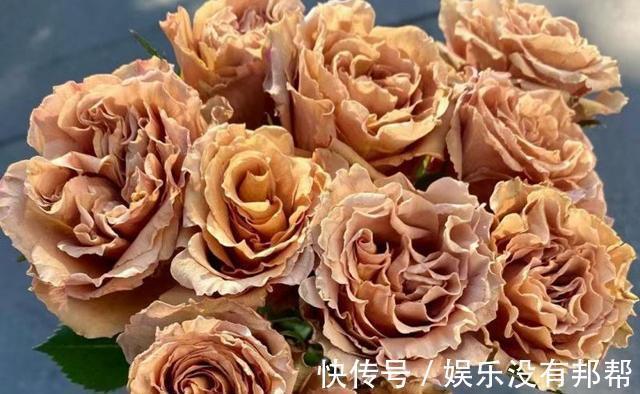 你粉|比较受欢迎的10款进口玫瑰花,一直都供不应求,你粉了吗?