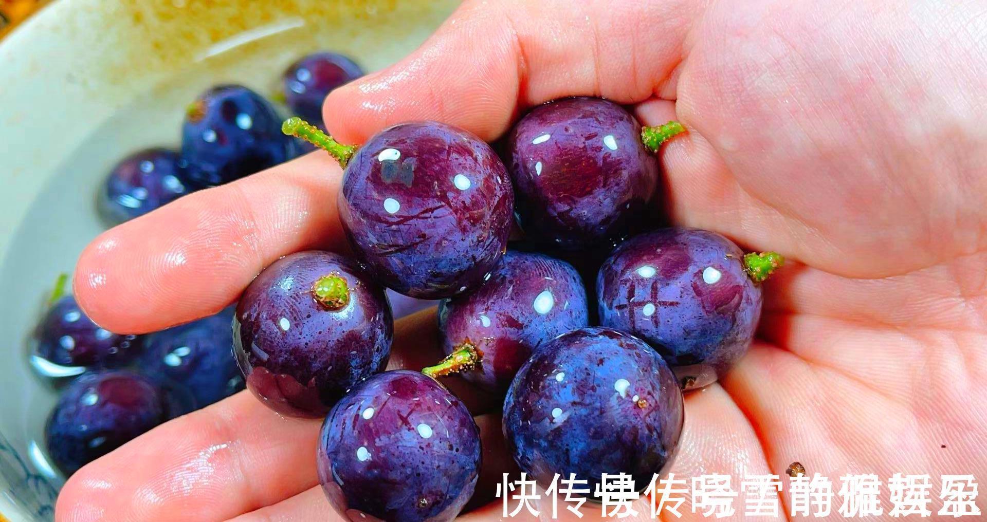 小苏打|千万别用盐水洗葡萄了!教您一妙招,虫卵自动溜走,连皮都可以吃