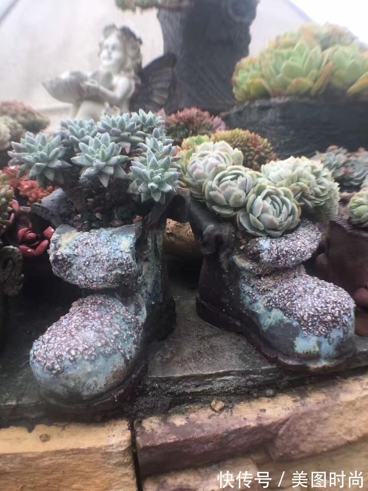 花草|历时一年，在31楼打造300㎡“屋顶花园”，如今美成了仙境