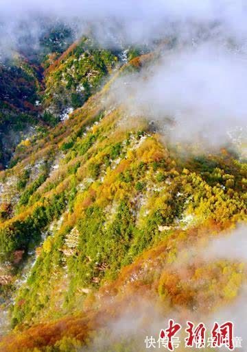 美景|张张壁纸！快来下载属于你的秋雪六盘山美景