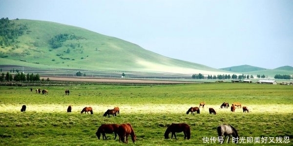 名气|河北面积最大的县，县名少人知，但是当地的一道菜，名气却很大