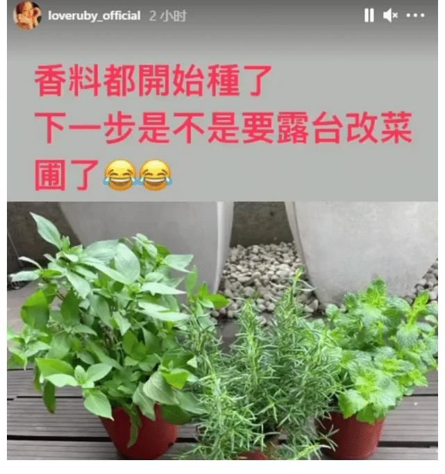 口福|林心如再秀厨艺，变着花样给老公女儿做美食，霍建华父女太有口福