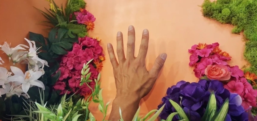 花卉&他拿花瓣、树叶随便一剪一贴就卖23万!网友:买过的人都说“值”