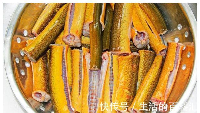 鱼肉|入夏后,这6种鱼正当鲜,钙含量高,常做给孩子吃,长个不用愁