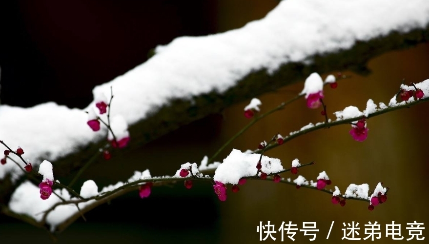 芳蕤&「诗词鉴赏」一年最冷三九天，十首有关三九的诗词，愿你一冬平安