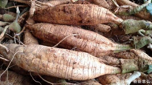 海参|适合妈妈们吃的“天然胶原蛋白”,抗衰老美白肌肤,身体越来越好