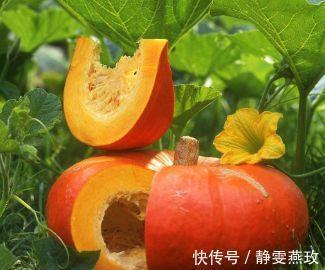 含有|常吃南瓜好处多,保护免疫系统,补足血气,老人要多吃