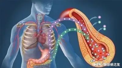 专家|糖尿病治与不治真的一样吗？专家告诉你答案