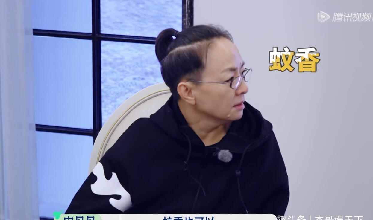 礼物 《桃花坞》汪苏泷的礼物太尴尬,舒淇的礼物成焦点,太壕了