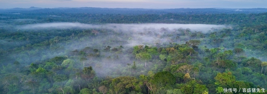 流域 更大的灾难来临?科学家警告:亚马逊逼近崩溃,开始加速地球变暖