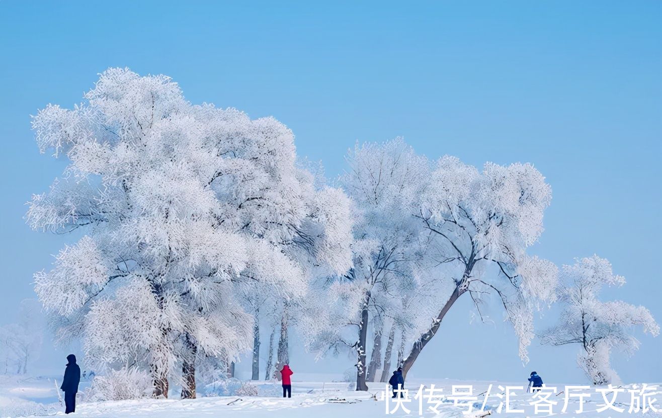 东北|一到冬天，这些东北独有的景色，就美到了天际