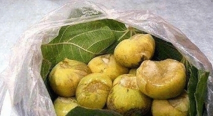 老大爷摆摊卖这个“烂水果”,一个只要2元,刚放下就被抢光了