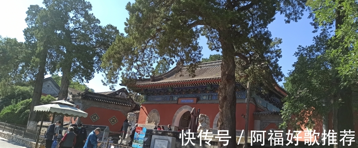 大觉寺|莱芜人在北京：游西山大觉寺