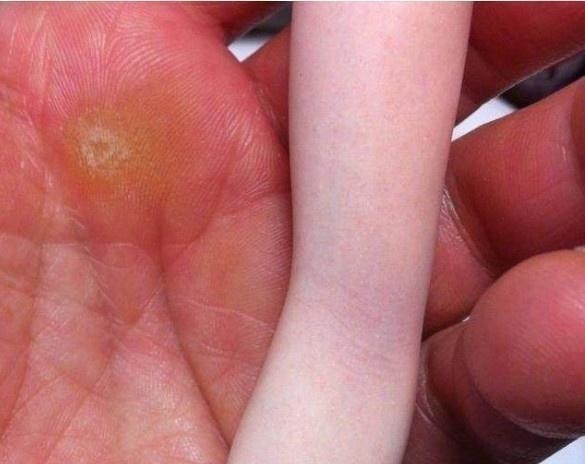 烈焰红唇|日本手办太逼真,血管都看得见成为话题,大家再看看这个彩鳞如何