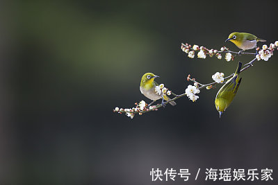 大富大贵|这两大生肖女，天生富婆命，后半生注定大富大贵，幸福甜蜜！