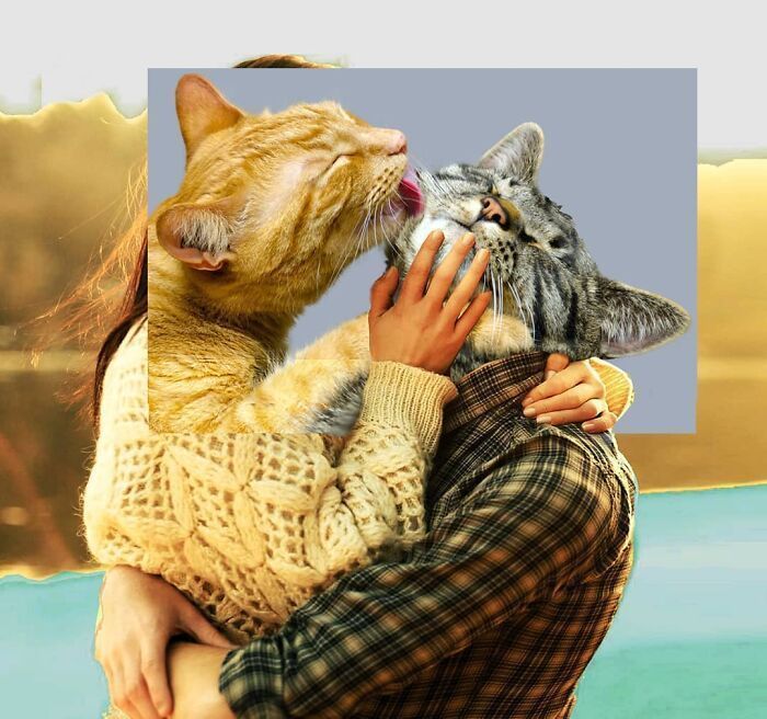 白雪公主!一组艺术家的疯狂照片拼贴画,白雪公主喝多也吐,建国的发现