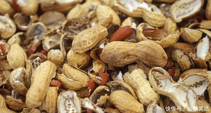 花盆|养花离不开花肥，怎么正确发酵花生壳？一共三步，一步不能少