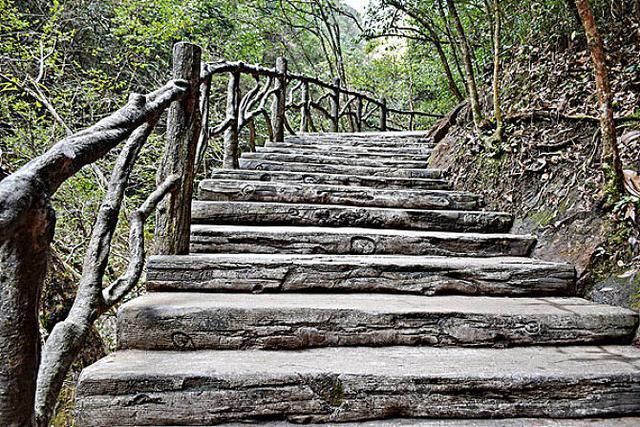 七夕$留白诗14首枝头白露频侵骨,梦里青春已隔尘