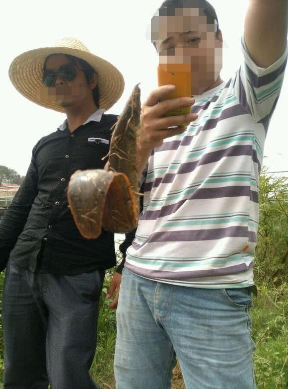 童年|童年钓鱼最怕的就是刀鳅鱼,因为它食性非常凶猛,把钩吞进肚子里