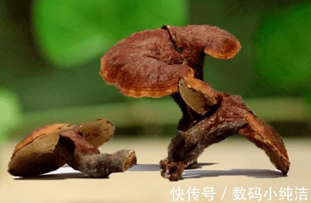 睡眠质量|什么东西对失眠最有效?助眠好物以及方法分享