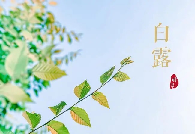 桃花星|辛丑年丁酉月——月运总概