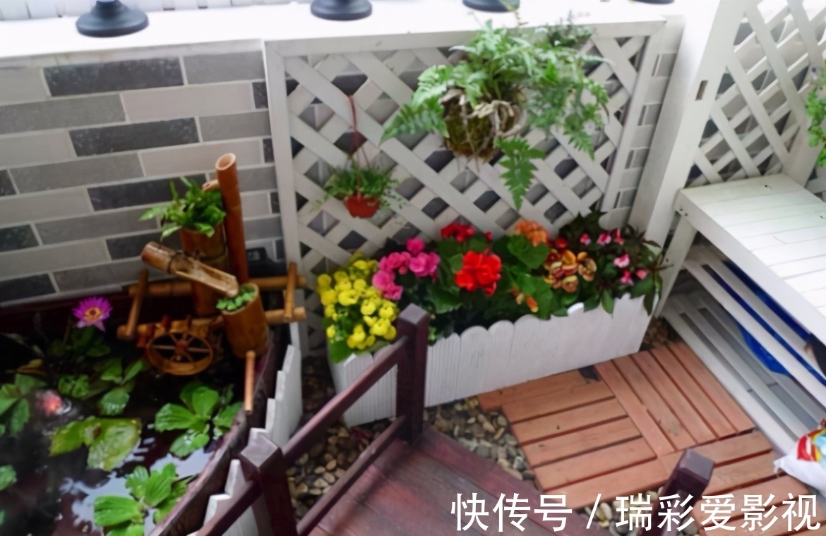 家庭|家庭盆栽花草,摆放、搭配方面该注意什么?有什么讲究?