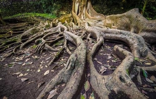 “地球最深处”究竟蕴含着多少的秘密?