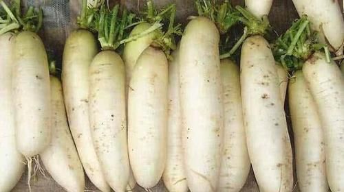  痔疮发作，痛苦难当？常吃这几种食物，痔疮可能悄悄远离你