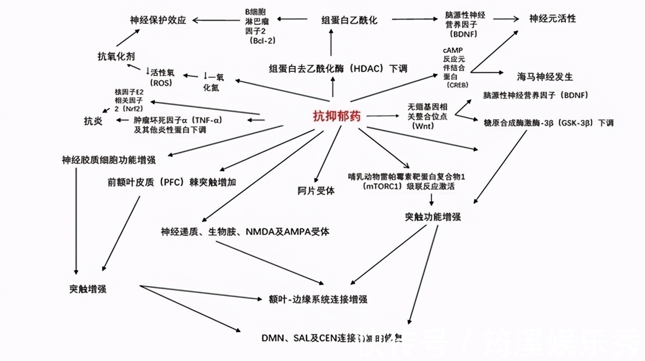 长期服用|这3种降压药已被淘汰,有些高血压患者还在服用,建议及时更换