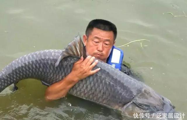  突遇大鱼想要拉上岸怎么办？新手必看的遛鱼技巧