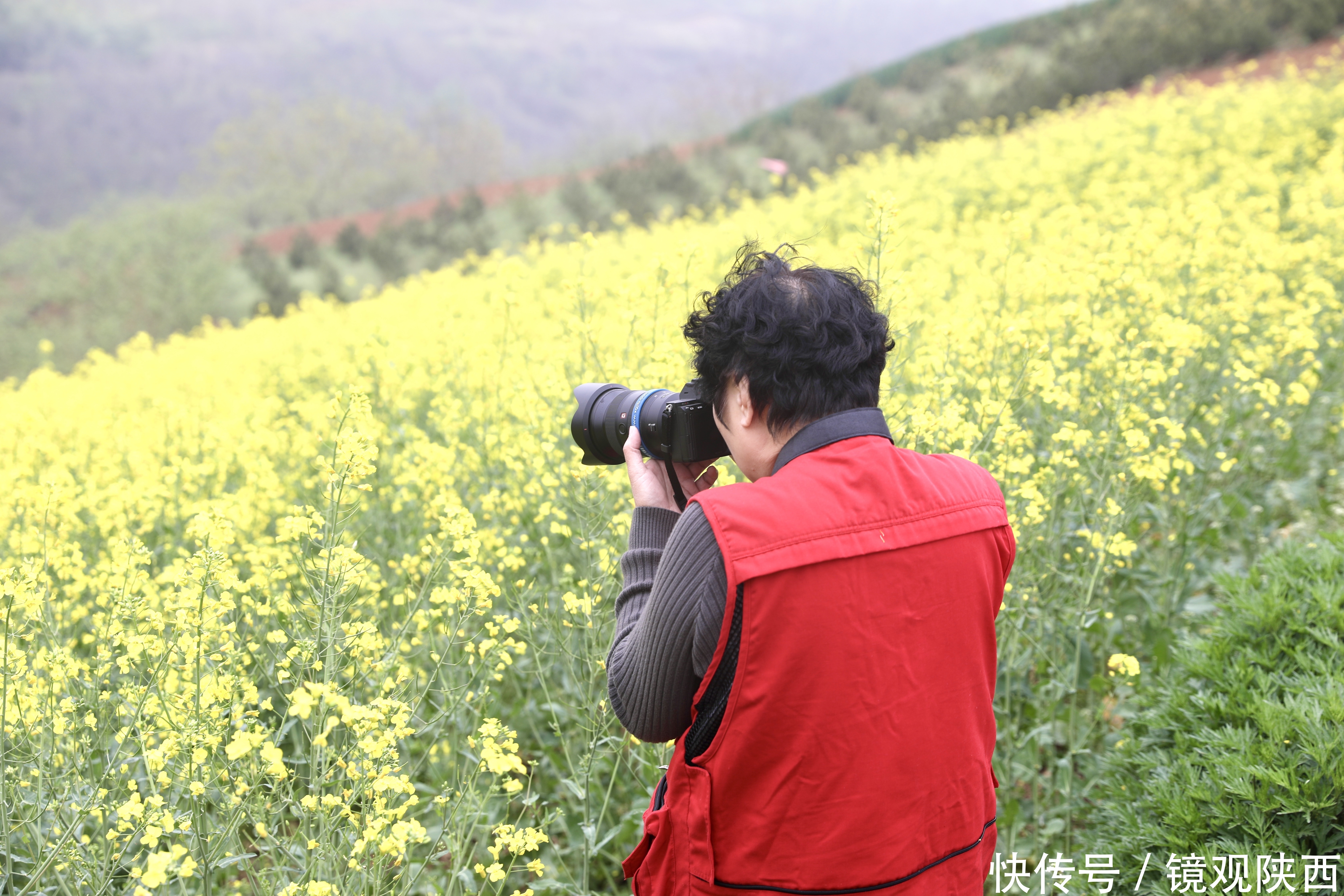 赶集、赏花、咥美食，春天到蓝田焦岱，体验最真实的乡村旅游