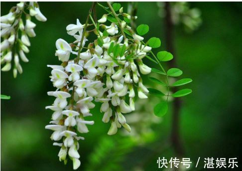 延缓衰老|女性不想显老,三种食物不可少,美容养颜,延缓衰老,提高免疫力