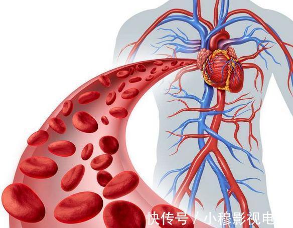 鸡蛋黄|这5种食物虽美味,胆固醇含量或许比较高,高血脂患者尽量少吃