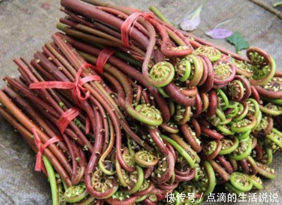 喜欢|被美国拉入“黑名单”的4种菜,中国人却很喜欢,网友我天天吃