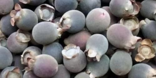  食物|人到中年想长寿，推荐多吃3种食物，美容养颜，有益健康！