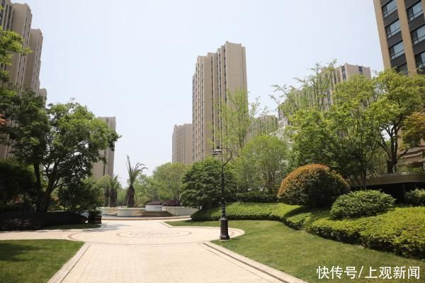 张金荣|旧改了！住在市中心黄金地段的老上海人搬到郊区，过得好吗？