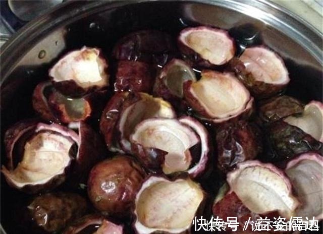 苗势|兰花长不好,把这2水果壳塞盆里,根系又多又白,苗势很旺!