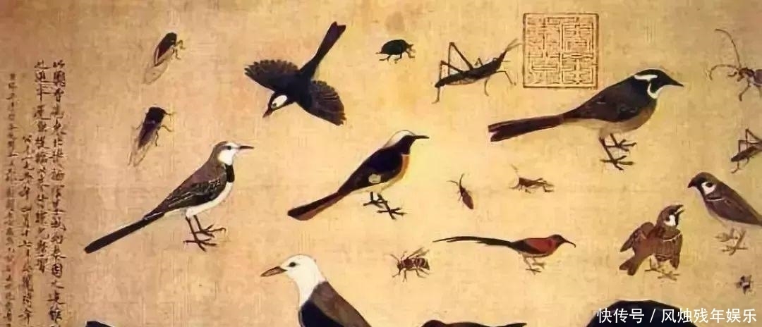 混乱|鉴定混乱:专家判古董真伪生死 那么谁来鉴定鉴定“砖家”(热议)