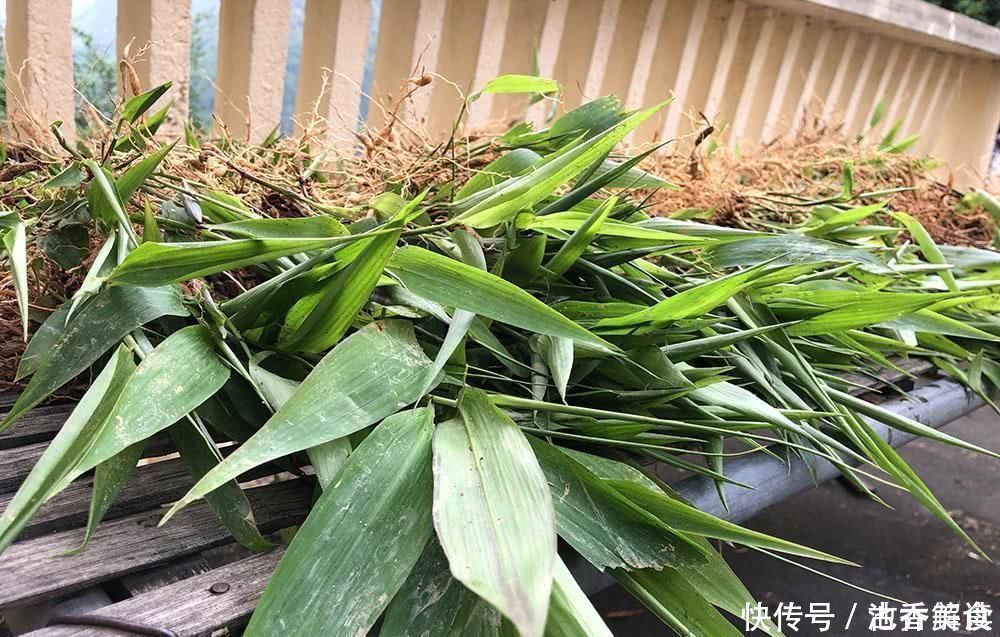 山里一种似竹叶的野草,过去常用来喂鸡,如今15元一斤成稀罕货