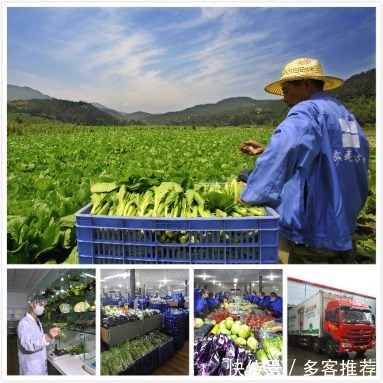 上榜理由|这3种菜适合做辅食,营养全面,宝宝吃了少生病