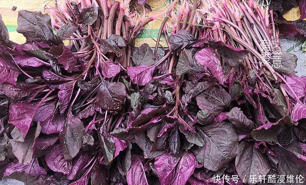 鲜嫩|明天端午节,“5鲜”不可少,价格便宜又应季,口感鲜嫩营养高