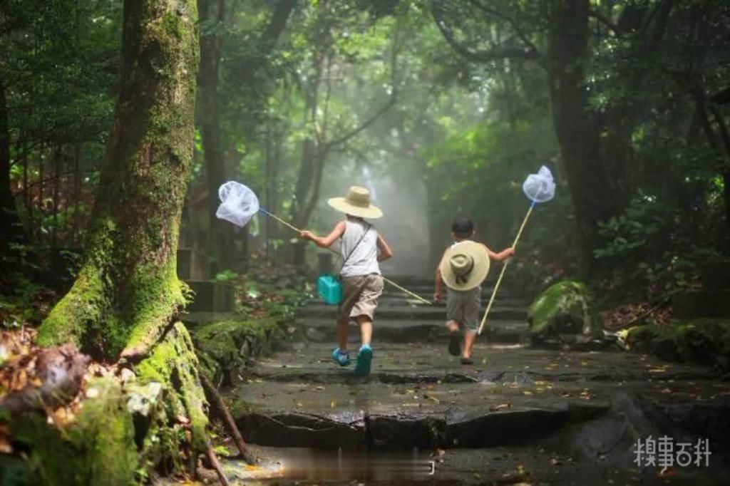 日本一位爸爸给孩子记录的夏天，像动漫里的夏天！！！