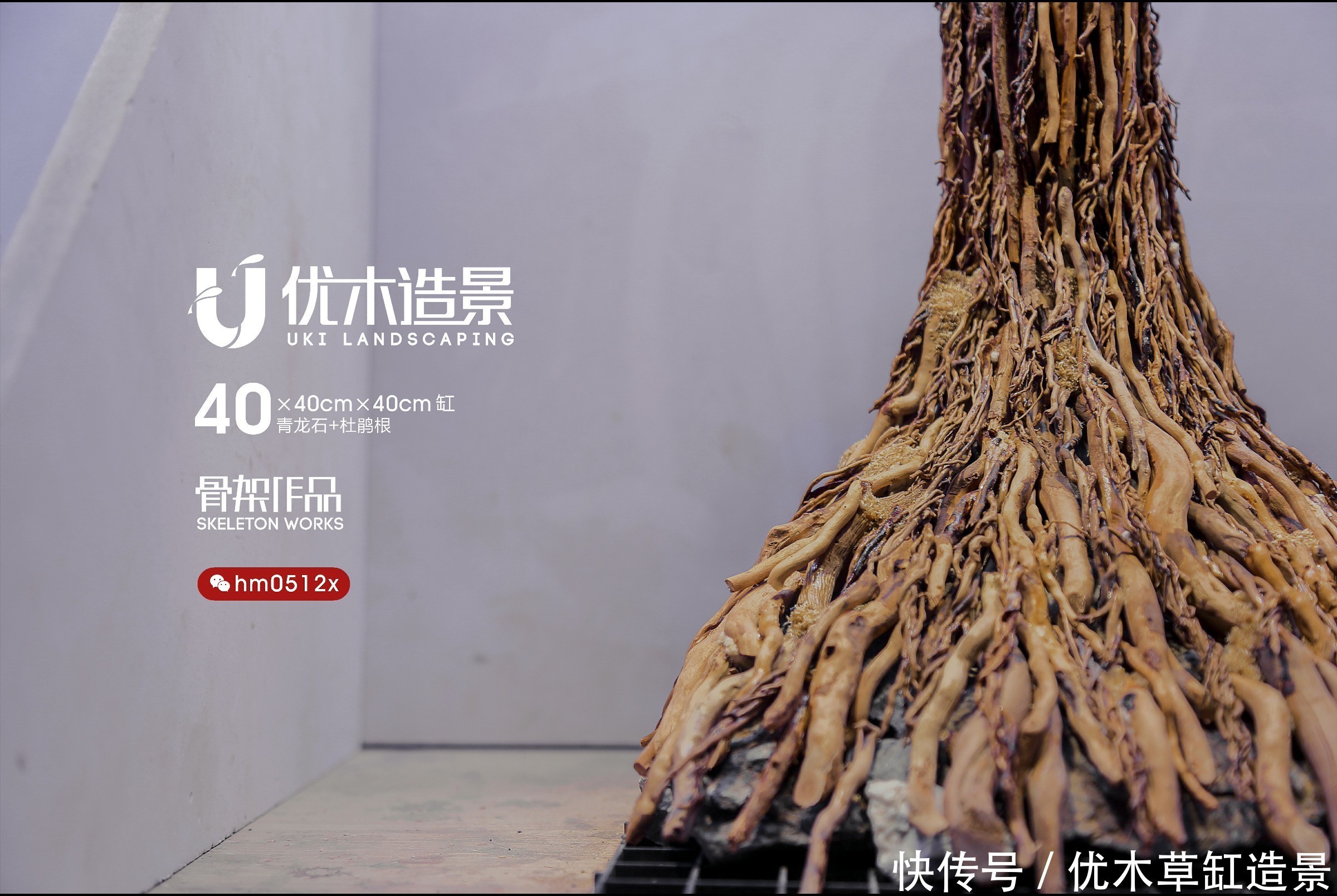 闲说几句,再来看四零方缸的生命之树的草缸造景骨架