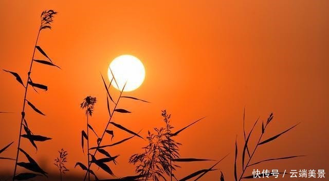 人到六十,夕阳无限好