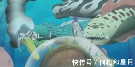 放弃|《海贼王》罗杰成为海贼王之后名声大噪，为什么要放弃一切