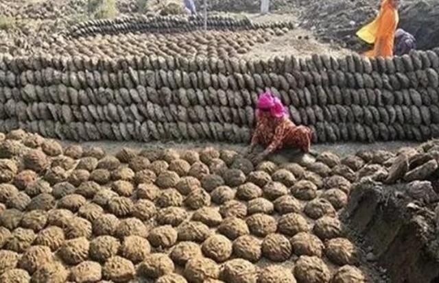 尊贵|印度“牛粪饼”一盒近30元,牛粪越多越尊贵,亚马逊上经常卖脱销