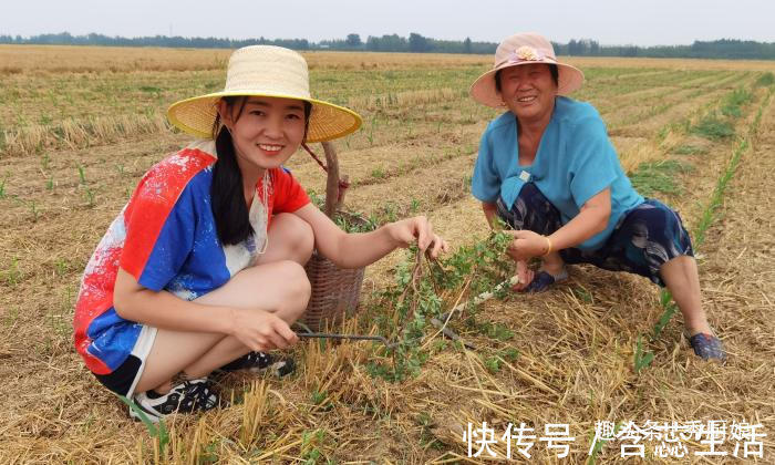 手软|夏天，碰到此菜别手软，一次囤上20斤，晒干储存起来，冬天吃特香